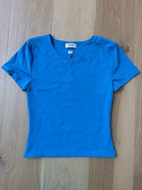 NEW Aritzia Original Contour Crew Shirt - Splash Blue